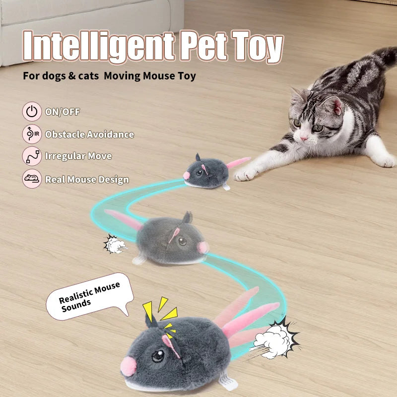 Interactive Mouse Cat Toy
