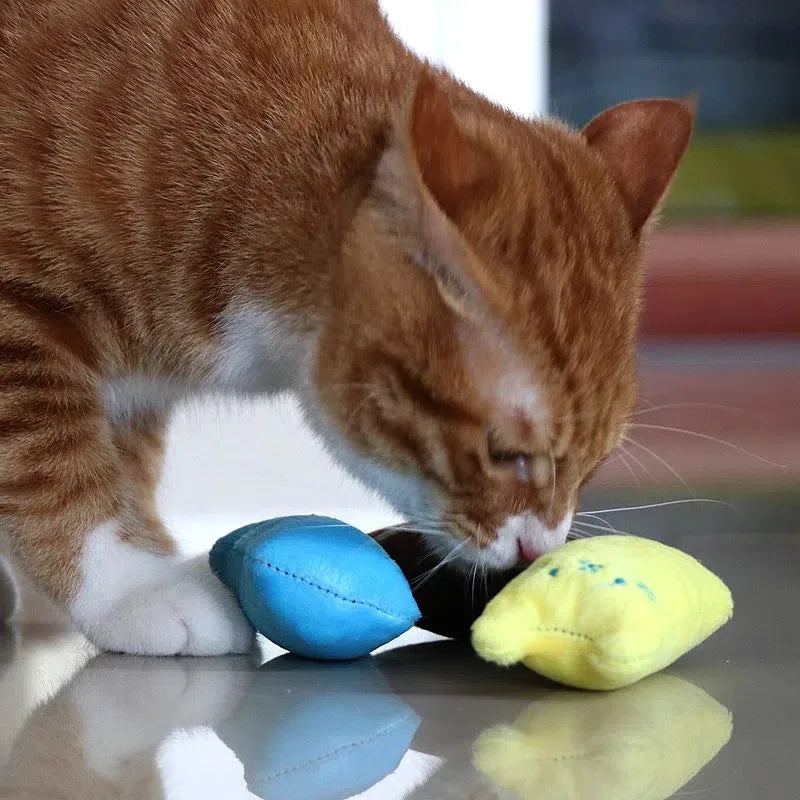 1PCS Pet Cat Toys Plush Sound Rattling Paper Cat Chewing Cute Toys Multicolor Puzzle Bite Resistant Teething Pet Interactive Toy