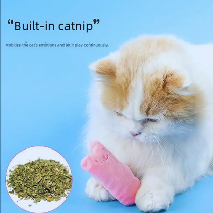 Cat kitten toys