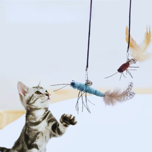Interactive Feather Cat Toy