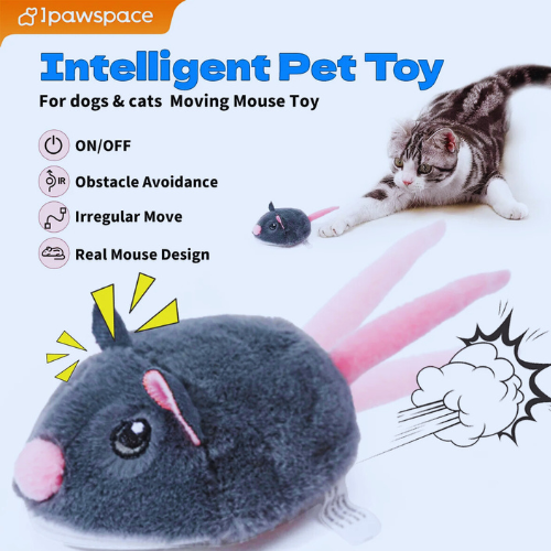 Smart Interactive Cat Toy