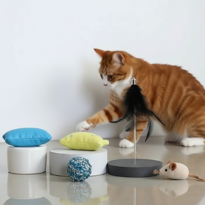 Cat kitten toys