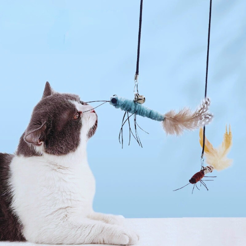 Interactive Feather Cat Toy