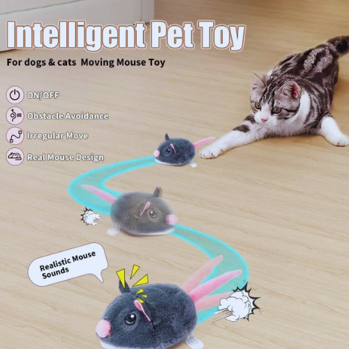 Smart Interactive Cat Toy