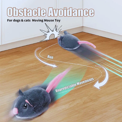 Smart Interactive Cat Toy