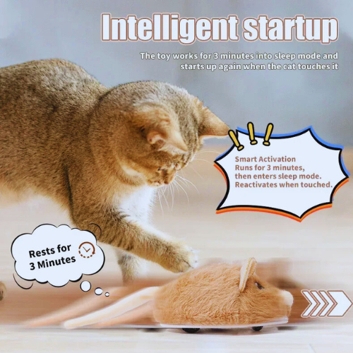 Smart Interactive Cat Toy