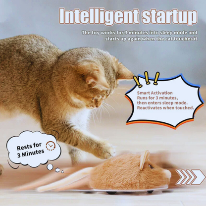 Smart Interactive Cat Toy