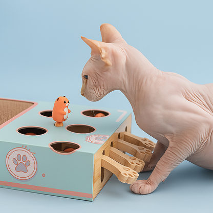 Cat toy Puzzle Game Box