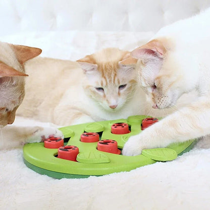 puzzle cat toy treat