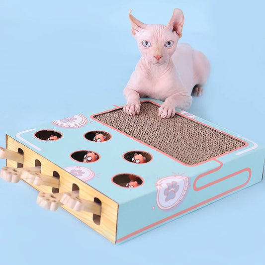 Cat toy Puzzle Game Box