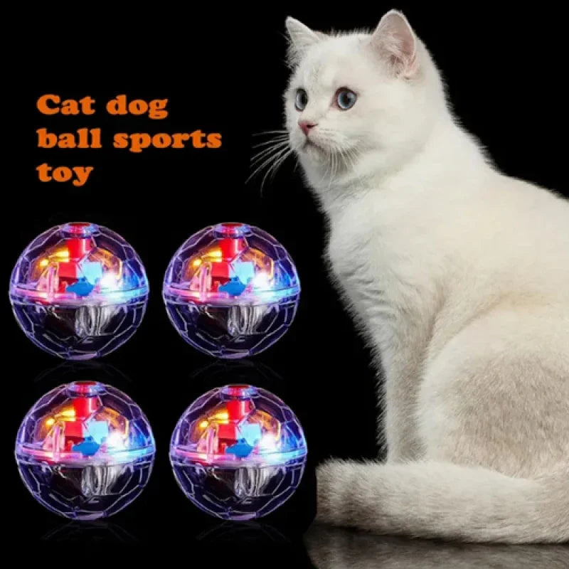 cat balls toys light up