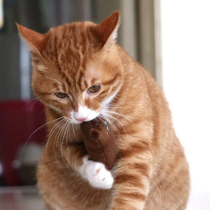 1PCS Pet Cat Toys Plush Sound Rattling Paper Cat Chewing Cute Toys Multicolor Puzzle Bite Resistant Teething Pet Interactive Toy