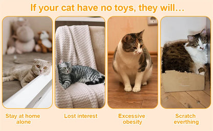 Interactive Cat Puzzle Box