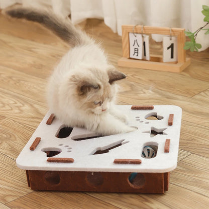 Cat Toy Box Puzzle