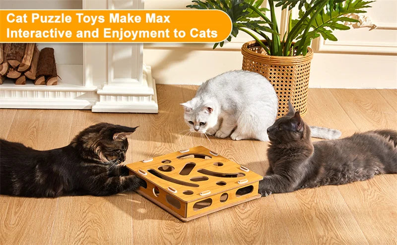 Interactive Cat Puzzle Box
