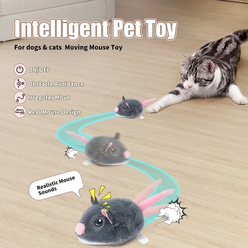 Smart Interactive Cat Toy