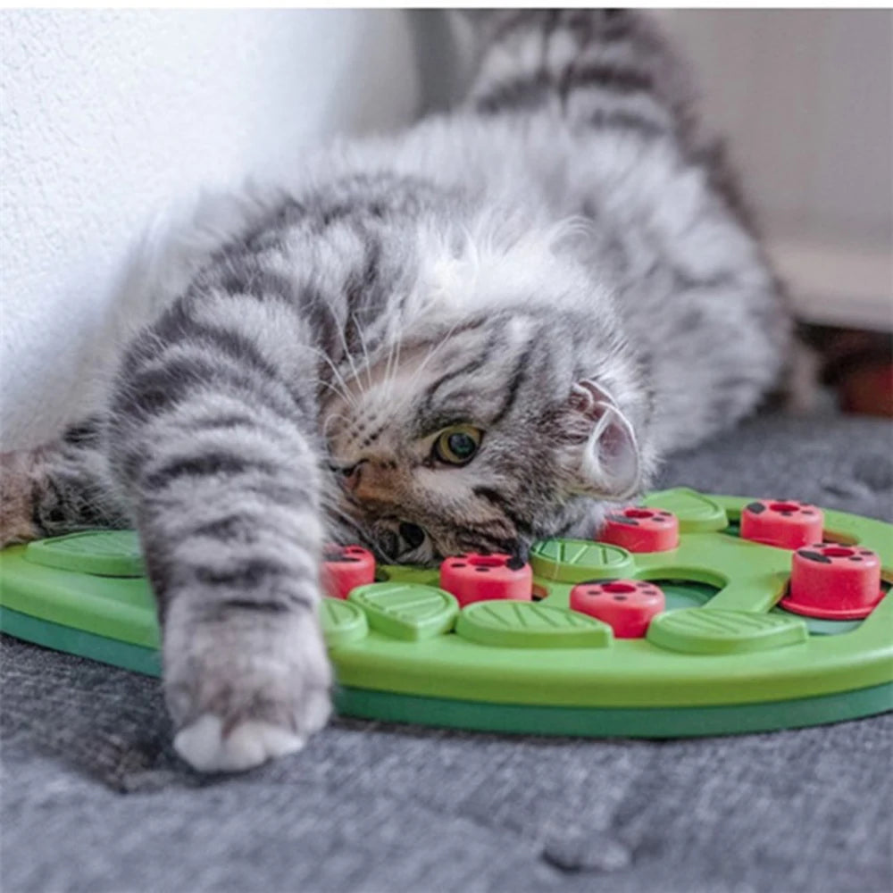 puzzle cat toy treat
