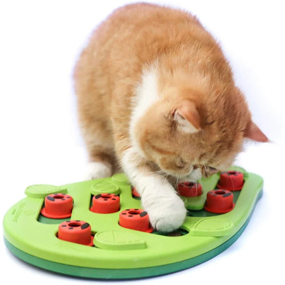 puzzle cat toy treat