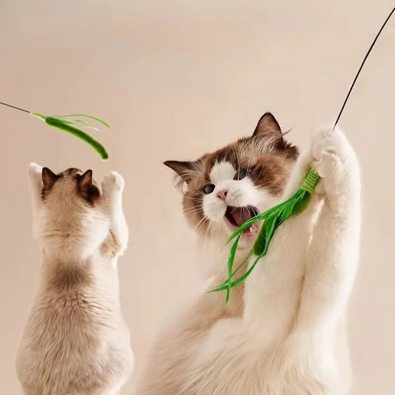 Cat Interactive Toy Tail Grass Cats Sage Feather Toy Long Pole Kitten Teasing Stick Bite Resistant Sound Toy Cat Supplies