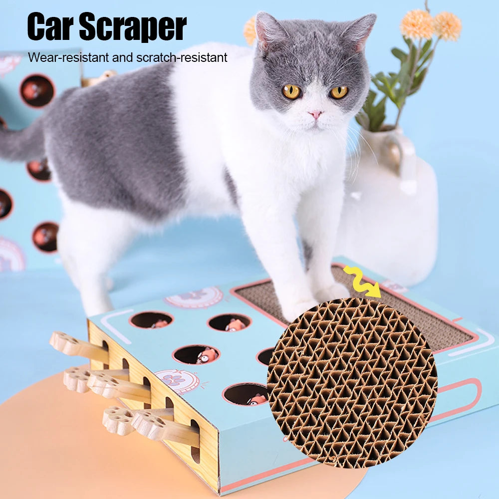 Cat toy Puzzle Game Box