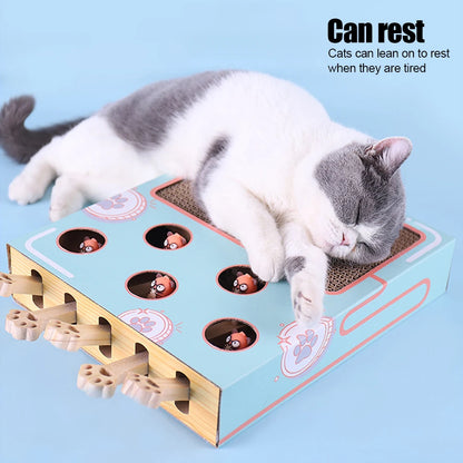 Cat toy Puzzle Game Box