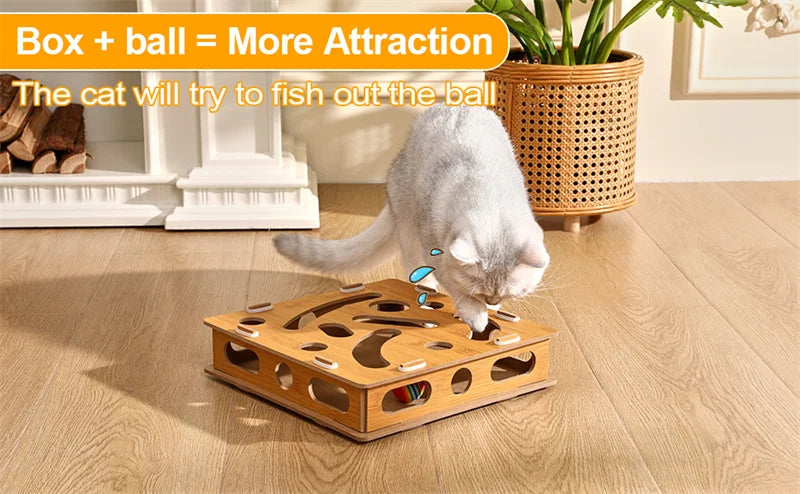 Interactive Cat Puzzle Box