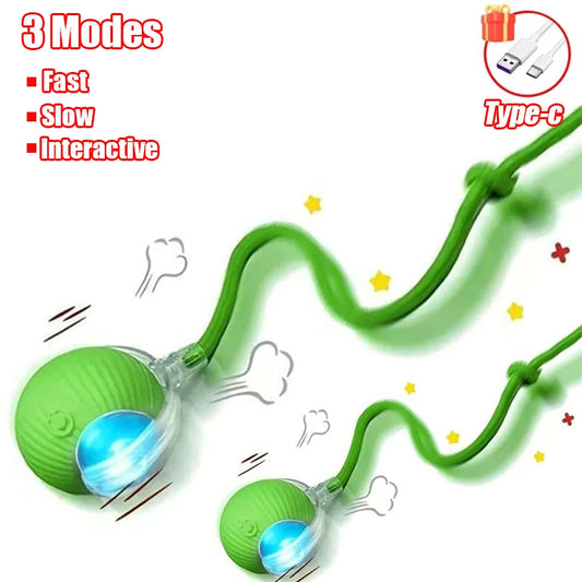 cat ball toy automatic