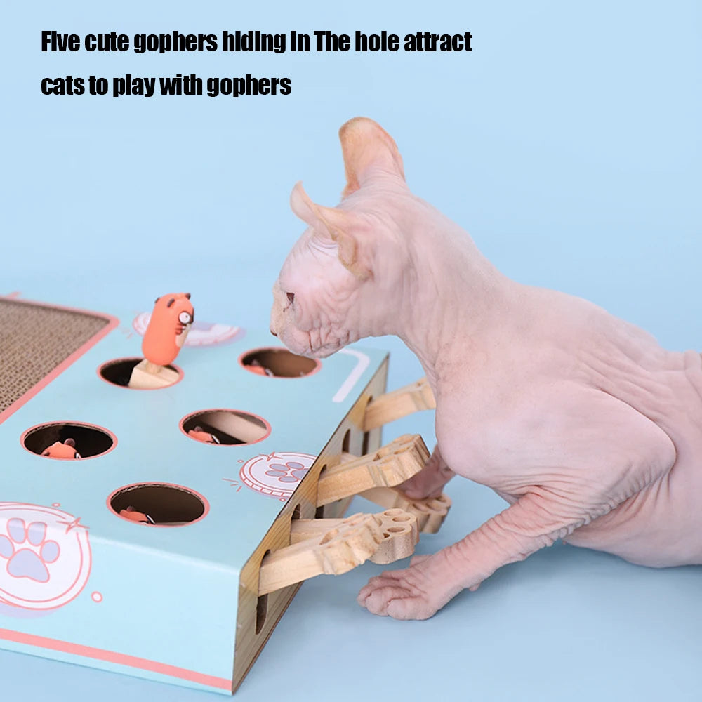 Cat toy Puzzle Game Box