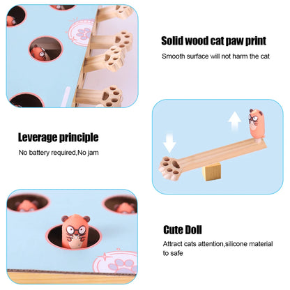Cat toy Puzzle Game Box