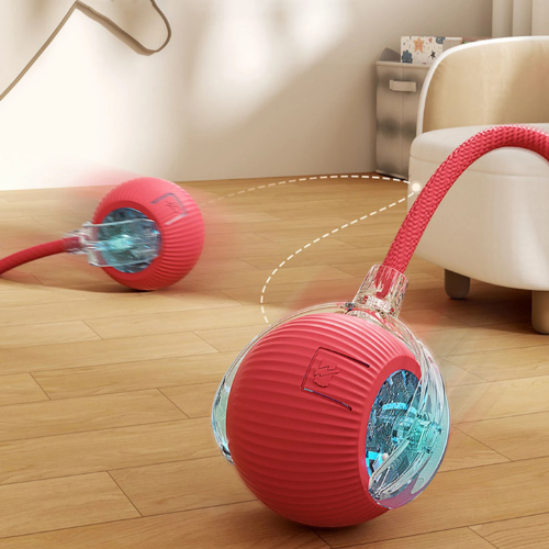 cat ball toy automatic
