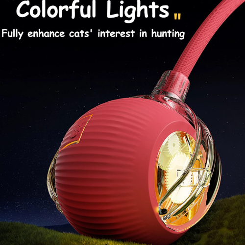 cat ball toy automatic