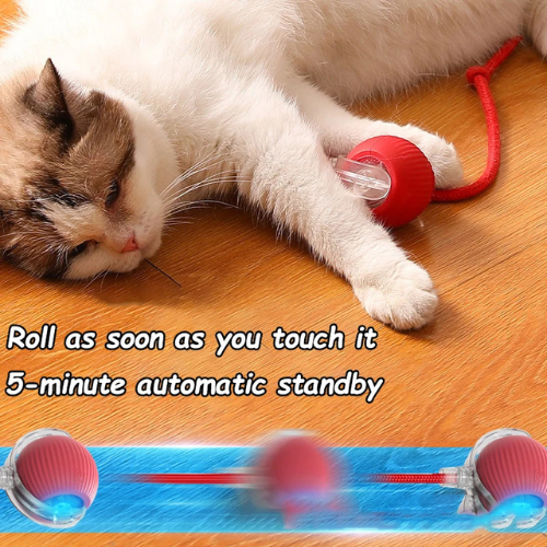cat ball toy automatic