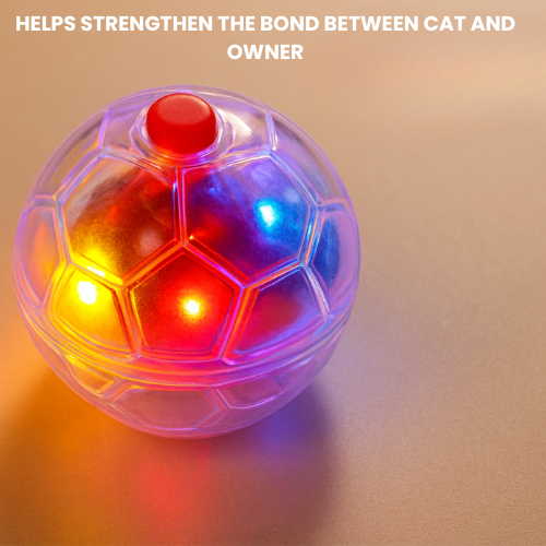 cat balls toys light up
