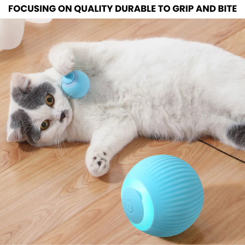 cat ball toy automatic soft